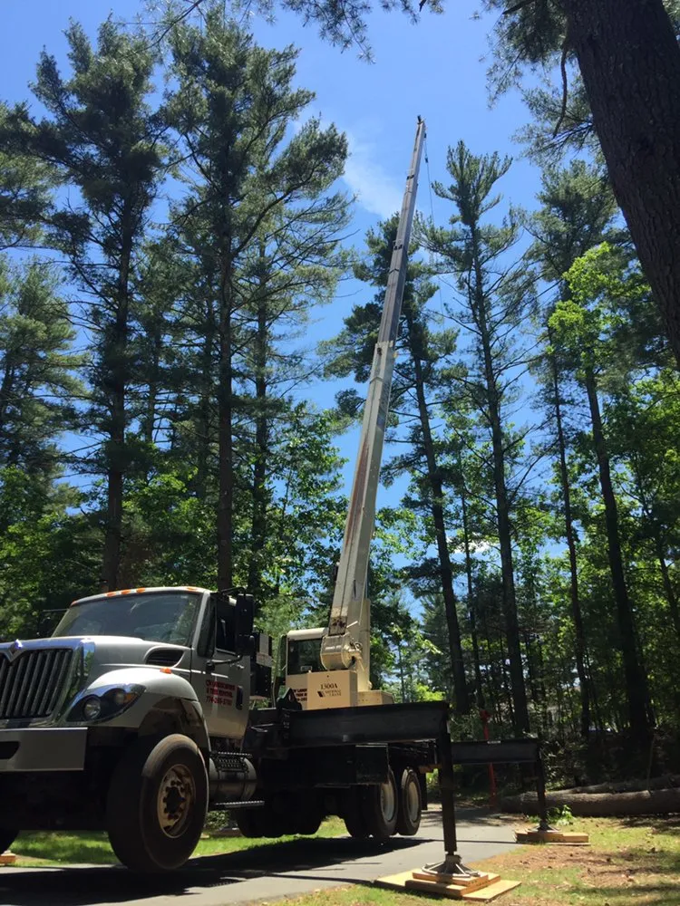 Reliable outdoor landscaping in Carver, MA by CJV Landscaping & Tree Removal