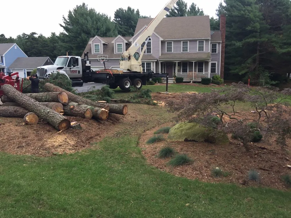 Expert residential landscaping with custom design in Carver, MA by CJV Landscaping & Tree Removal