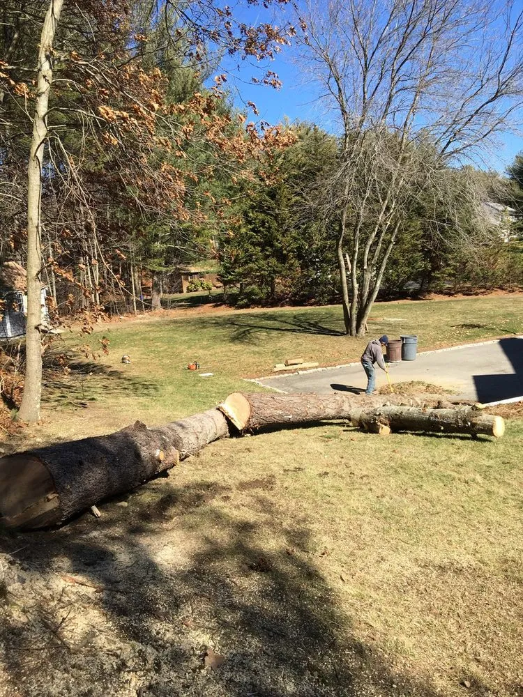 Top-rated garden landscaping in Carver, MA by CJV Landscaping & Tree Removal