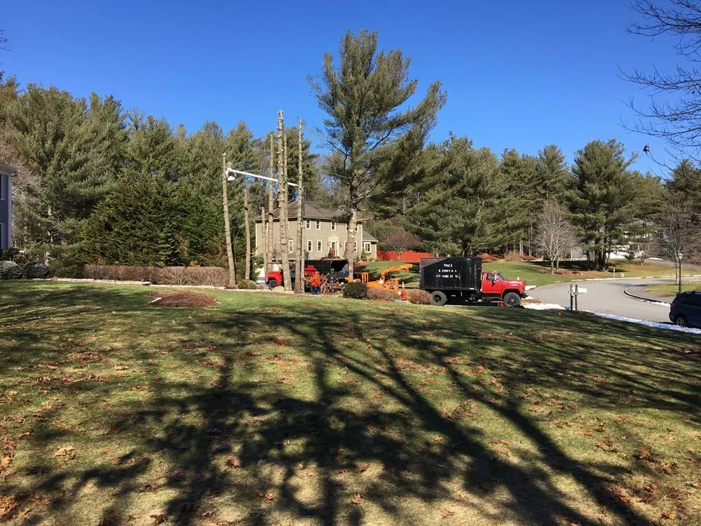 Expert residential landscaping for homes across Carver, MA - CJV Landscaping & Tree Removal