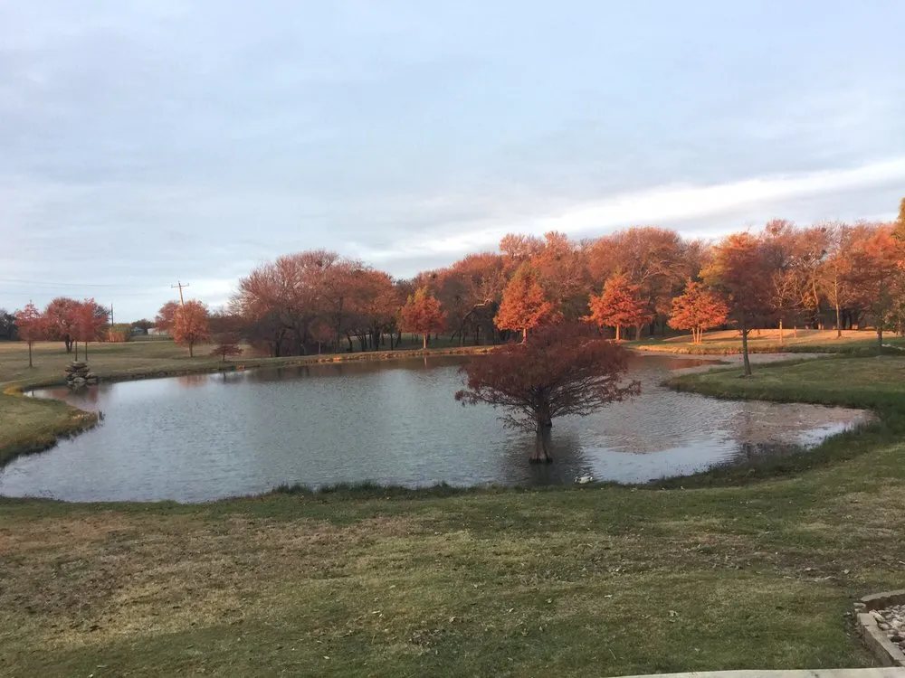 Local landscaping services for beautiful yards in Tioga, TX by CJW Tree & Plant Farm