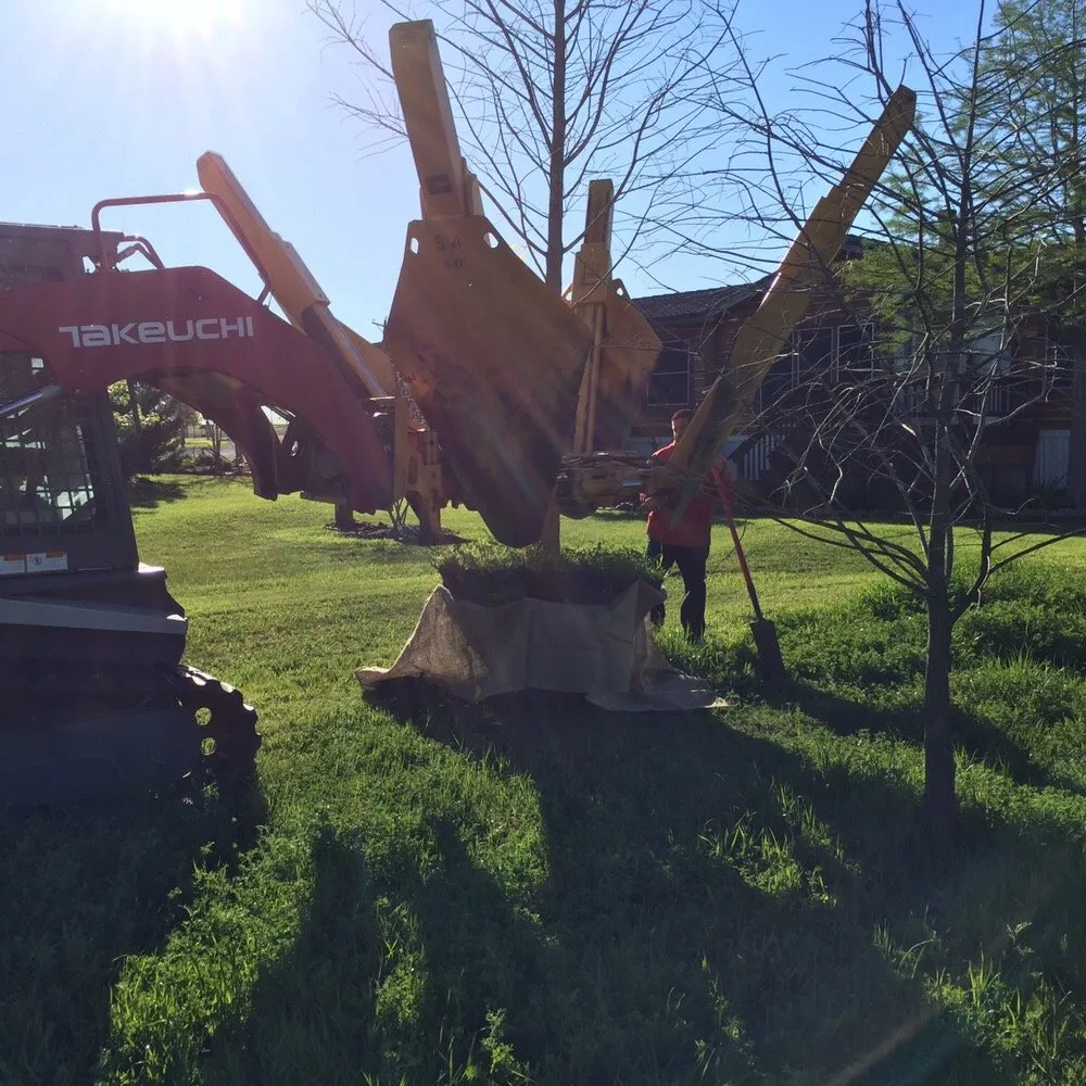 Local residential landscaping for residential properties across Tioga, TX - CJW Tree & Plant Farm