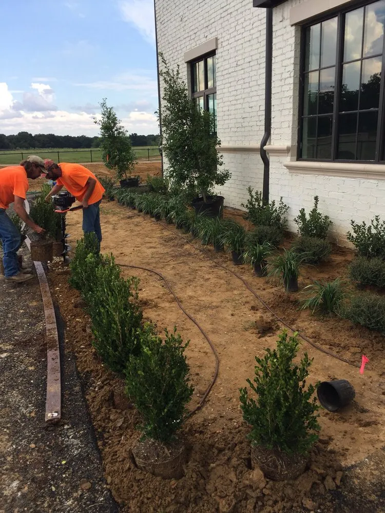 Top-rated landscaping services near you in Tioga, TX by CJW Tree & Plant Farm