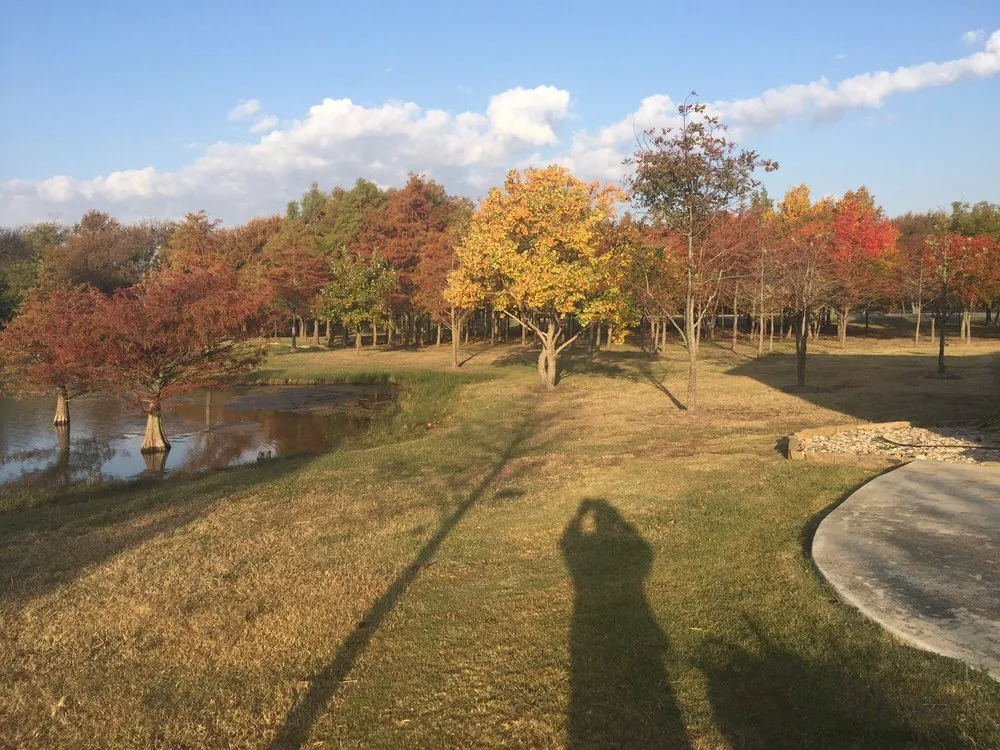 Local residential landscaping in Tioga, TX - CJW Tree & Plant Farm