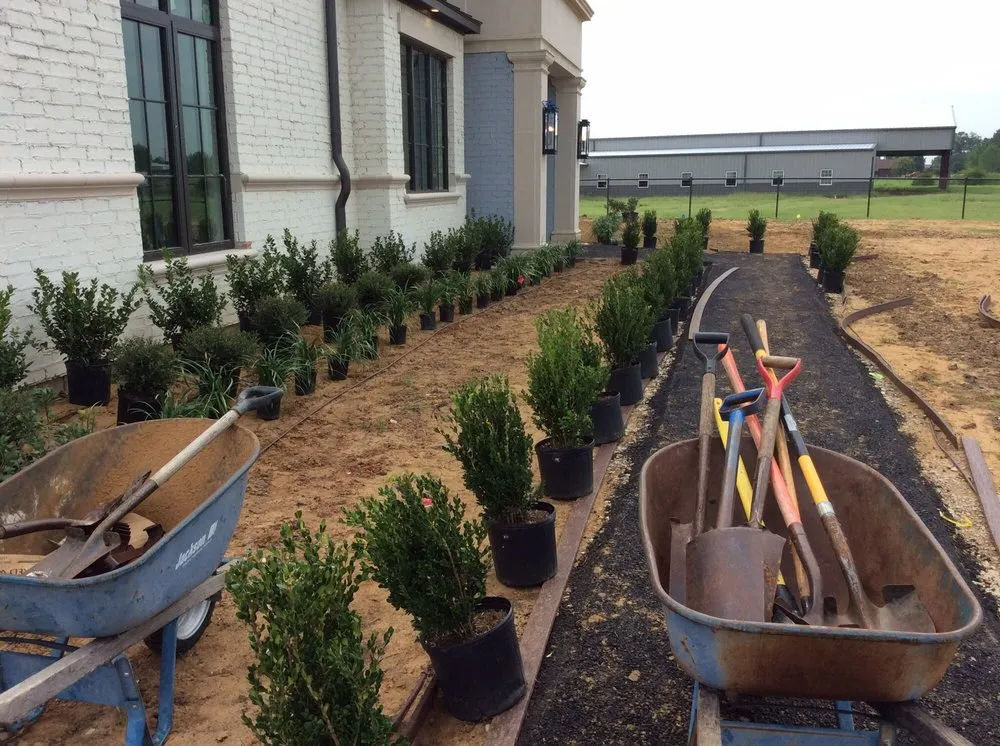 Reliable landscape installation experts serving Tioga, TX - CJW Tree & Plant Farm