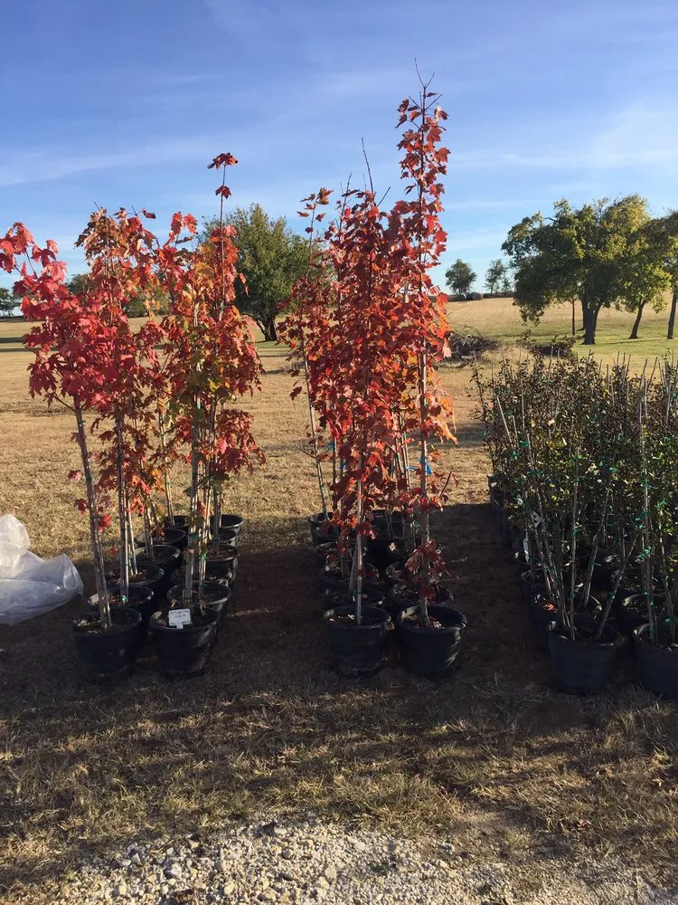 Trusted landscaping services with custom design in Tioga, TX by CJW Tree & Plant Farm