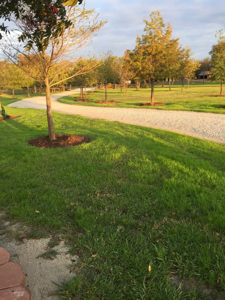 Affordable lawn mowing service for beautiful yards across Tioga, TX - CJW Tree & Plant Farm