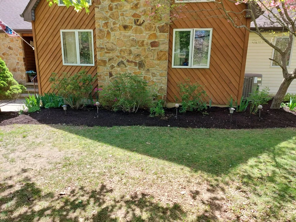 Local yard cleanup service in Elkton, MD by C.K Business Solutions