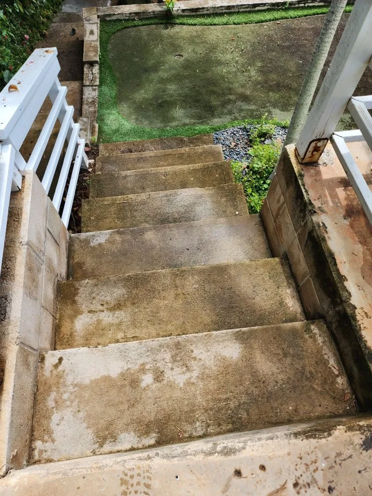 Professional garden landscaping in Kaaawa, HI by CK Handy Services