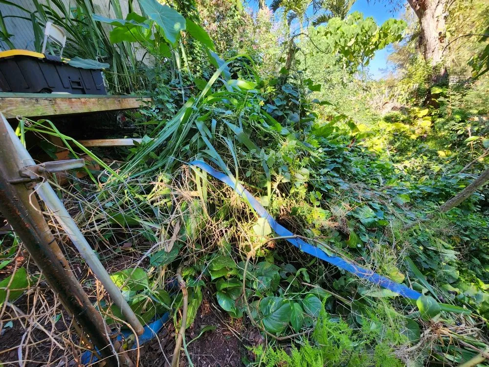 Affordable lawn mowing service experts serving Kaaawa, HI - CK Handy Services