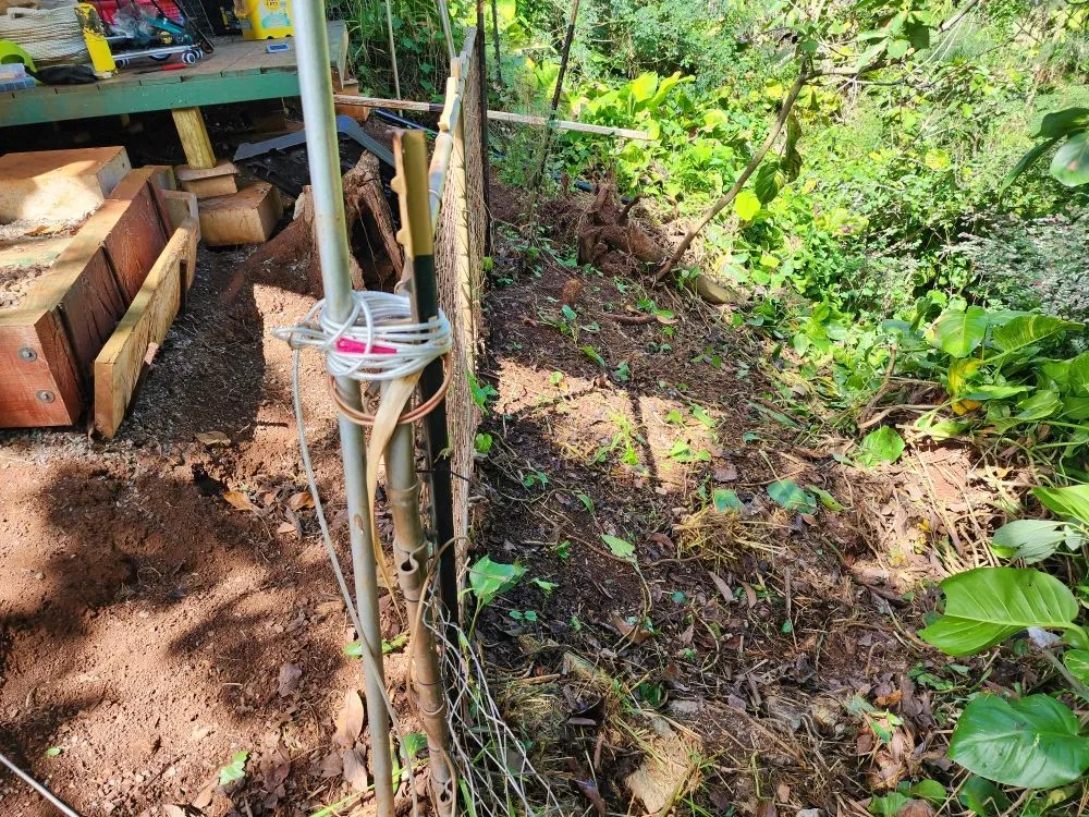 Top-rated landscaping services for residential properties across Kaaawa, HI - CK Handy Services