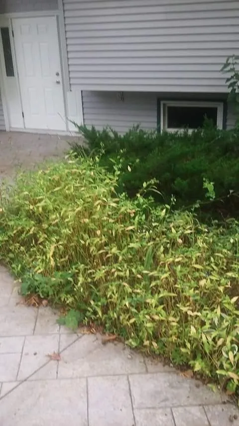 Top-rated garden landscaping for outdoor upgrades in New London, CT by C&K Landscaping