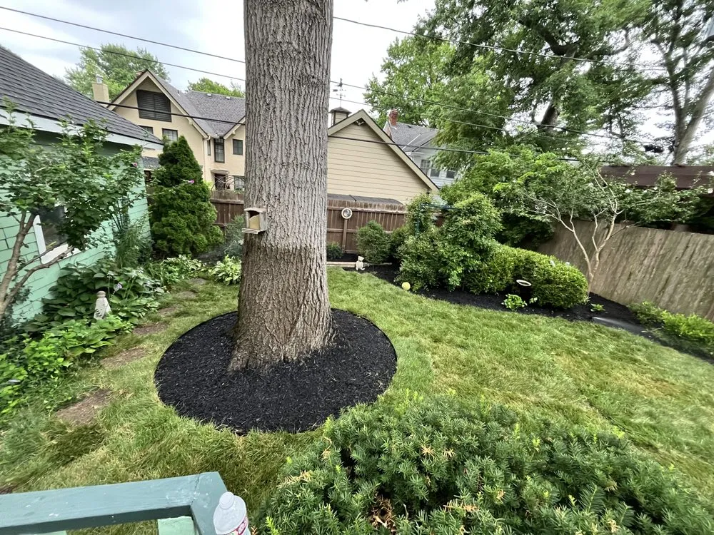 Affordable landscaping services for residential properties in Independence, MO by C&K Landscaping Services