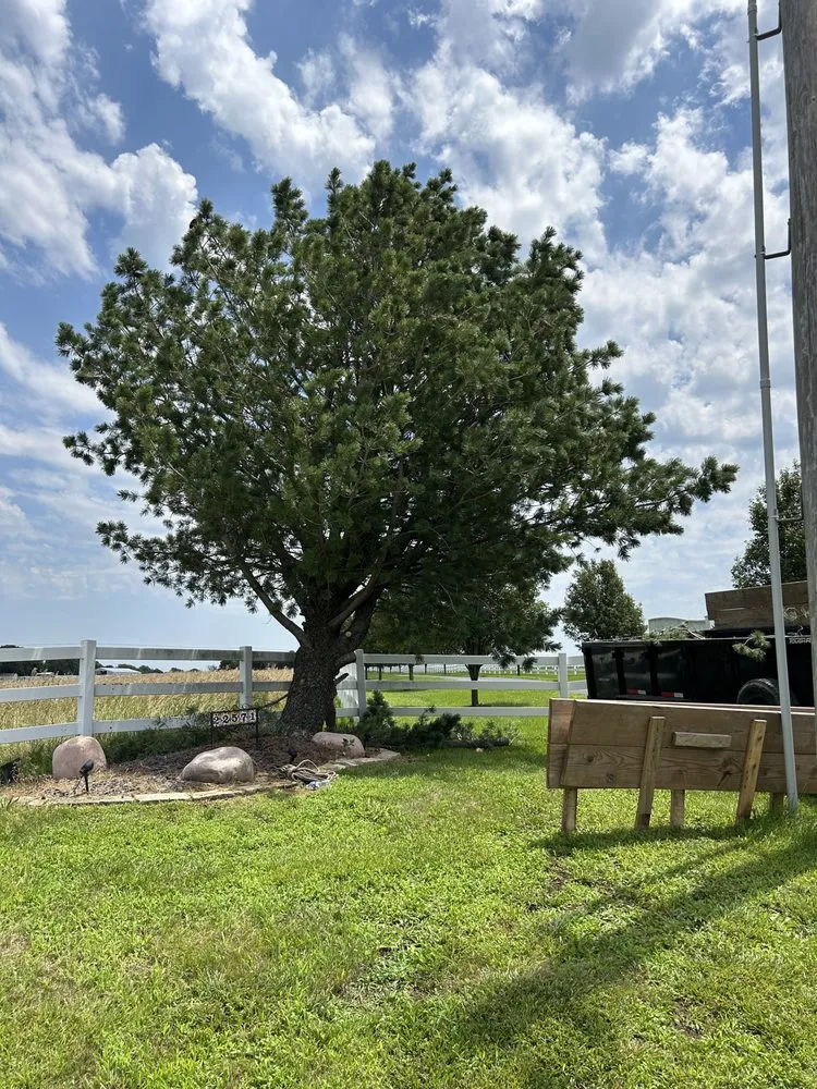 Affordable yard maintenance experts serving Independence, MO - C&K Landscaping Services