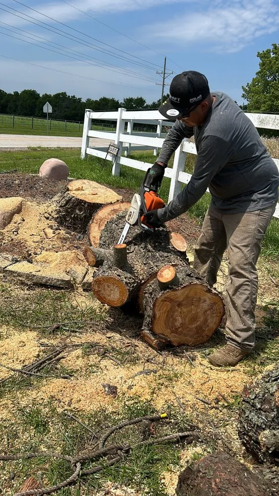 Local lawn care service for beautiful yards in Independence, MO by C&K Landscaping Services