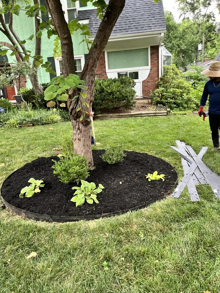 Expert lawn mowing service experts serving Independence, MO - C&K Landscaping Services