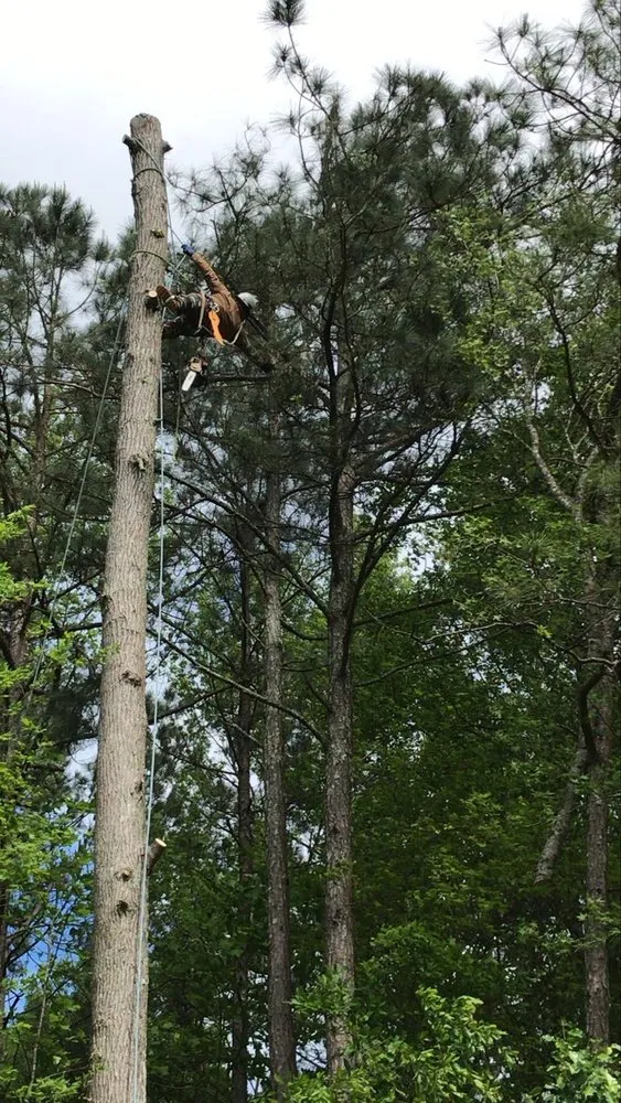 Expert landscaping services with custom design in Tucker, GA by CK Landscaping