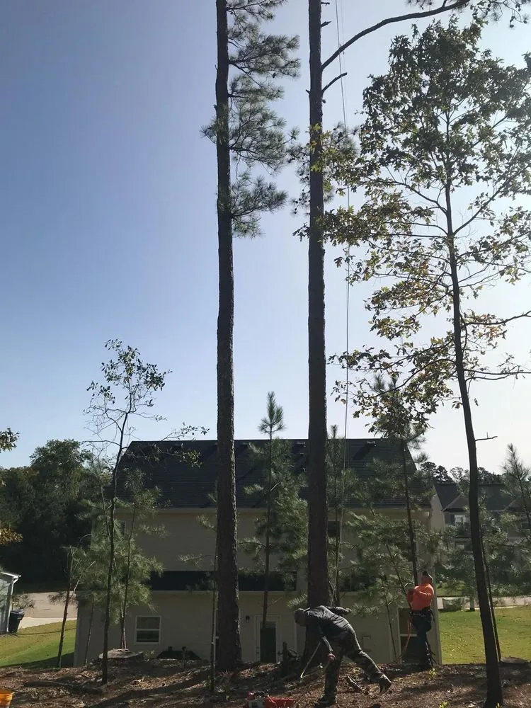 Reliable outdoor landscaping in Tucker, GA - CK Landscaping