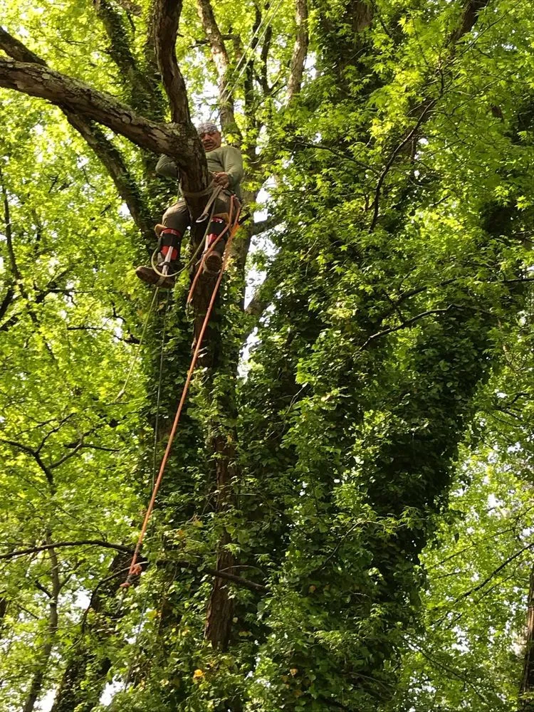 Trusted landscape installation in Tucker, GA - CK Landscaping