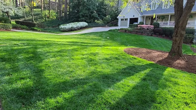 Top-rated yard cleanup service in Tucker, GA - CK Landscaping