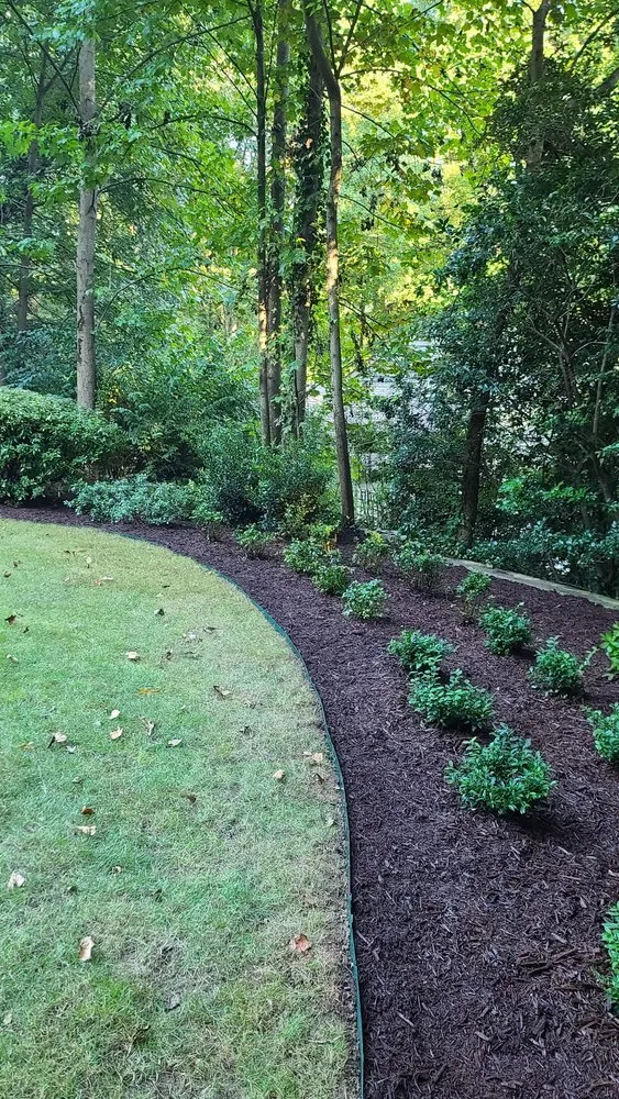 Affordable lawn care service near you in Tucker, GA by CK Landscaping