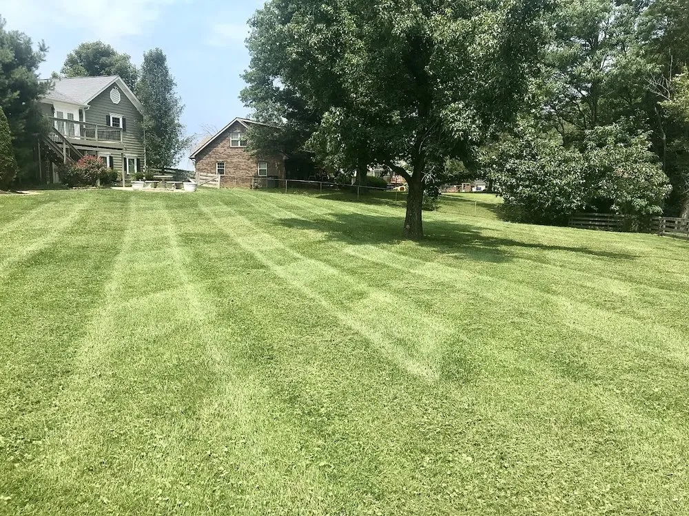 Local outdoor landscaping experts serving Floyds Knobs, IN - CK Lawn & Landscaping