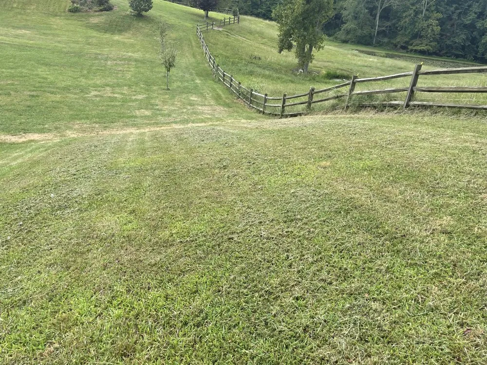 Expert landscaping services for homes in Blountville, TN by CK Lawn Care