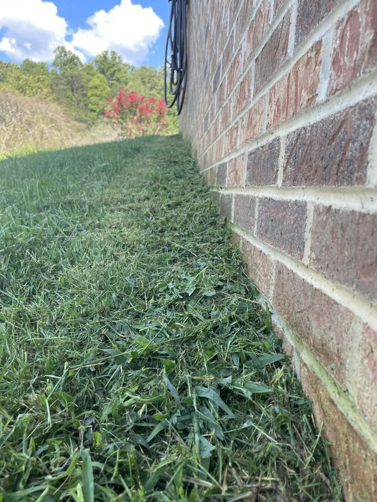 Custom yard maintenance in Blountville, TN - CK Lawn Care