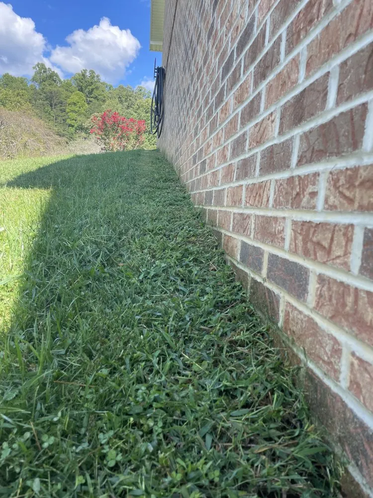 Affordable yard cleanup service for residential properties in Blountville, TN by CK Lawn Care