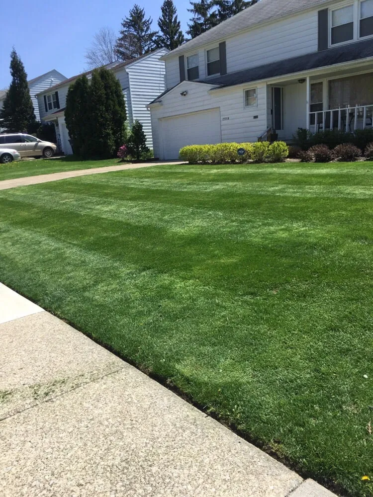 Expert yard maintenance in Cleveland, OH - C&K Lawn Care