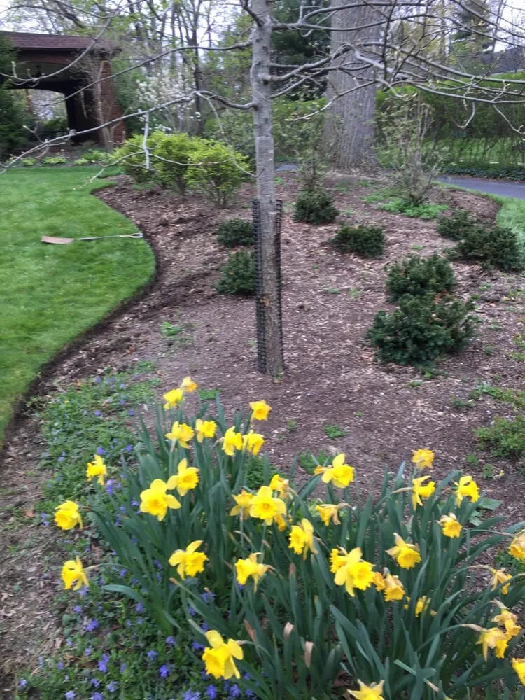 Top-rated yard maintenance in Cleveland, OH by C&K Lawn Care