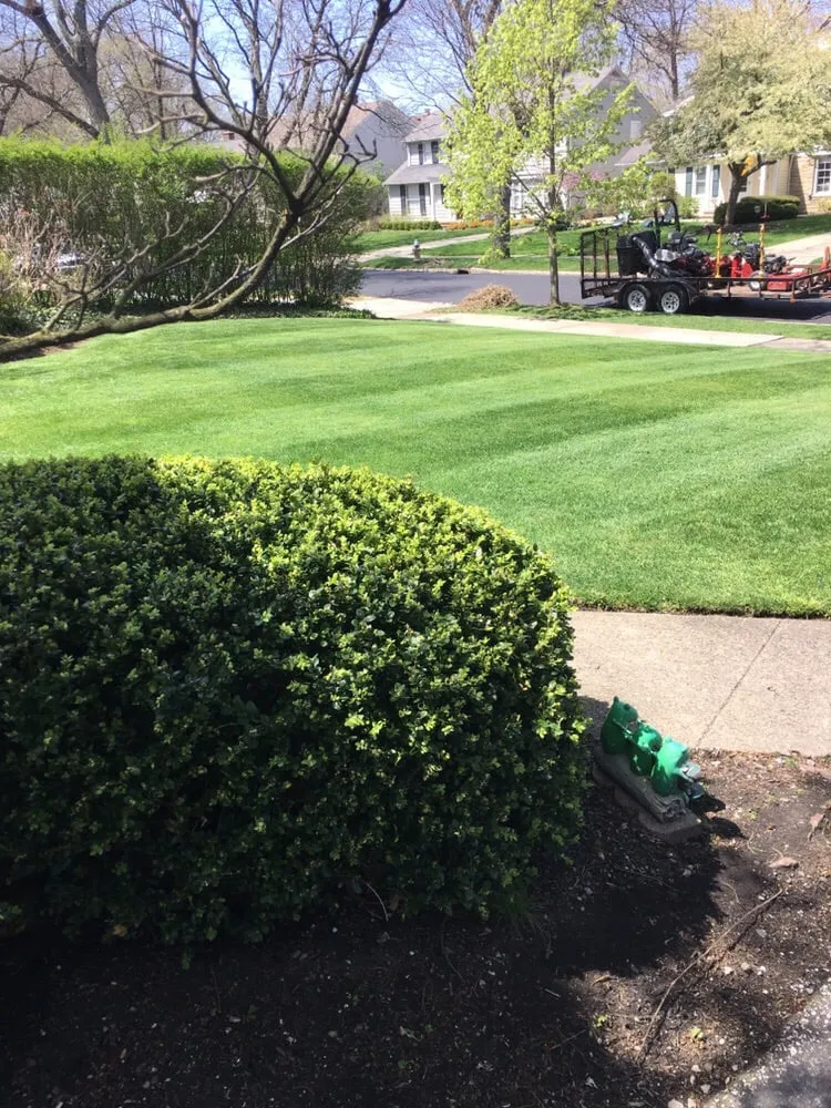 Affordable yard cleanup service for year-round maintenance in Cleveland, OH by C&K Lawn Care
