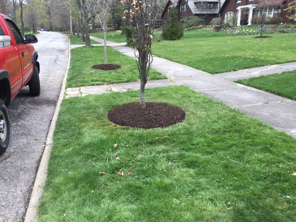 Top-rated landscaping services for residential properties across Cleveland, OH - C&K Lawn Care