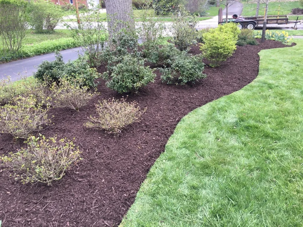 Affordable lawn care service in Cleveland, OH by C&K Lawn Care