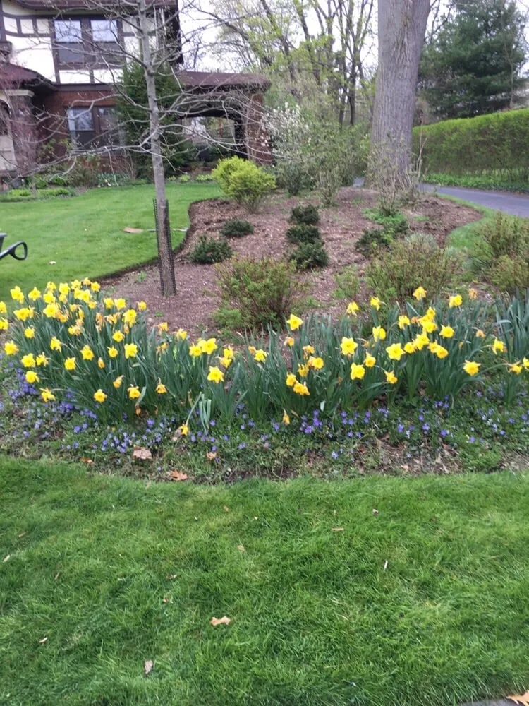 Expert residential landscaping near you in Cleveland, OH by C&K Lawn Care