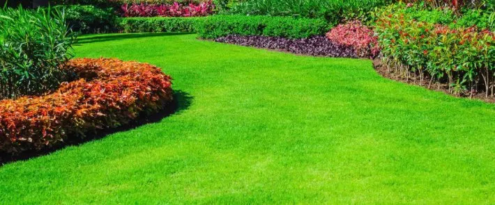Affordable landscape installation experts serving Gainesville, FL - C&K Lawn Care