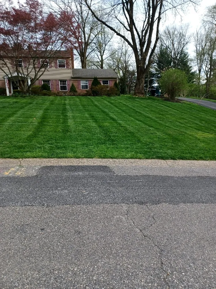 Custom lawn care service in Chester, PA - CK Lawn Maintenance & Landscaping