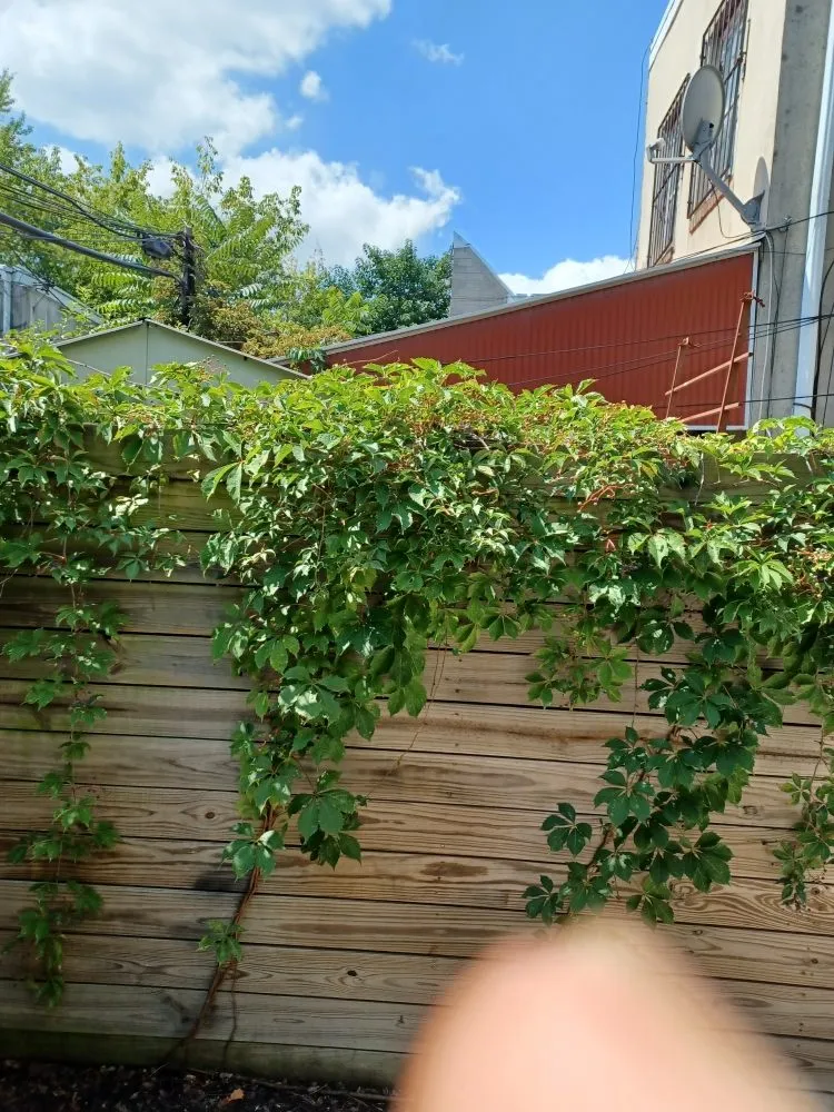 Top-rated residential landscaping for homes across Chester, PA - CK Lawn Maintenance & Landscaping