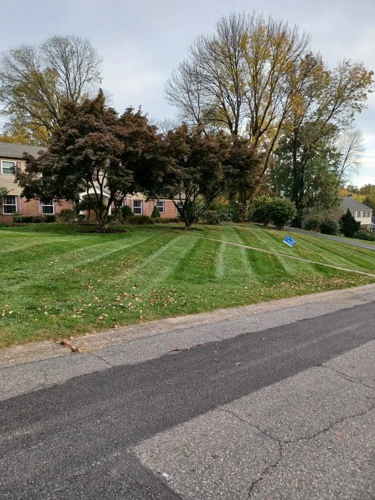 Reliable landscaping services with custom design in Chester, PA by CK Lawn Maintenance & Landscaping