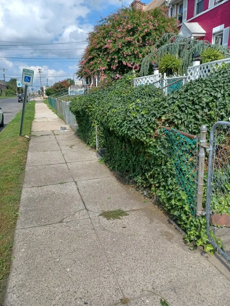 Local lawn care service in Chester, PA by CK Lawn Maintenance & Landscaping