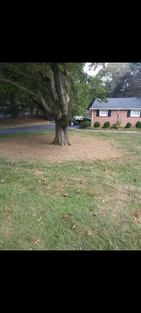 Top-rated outdoor landscaping for beautiful yards across Chester, PA - CK Lawn Maintenance & Landscaping