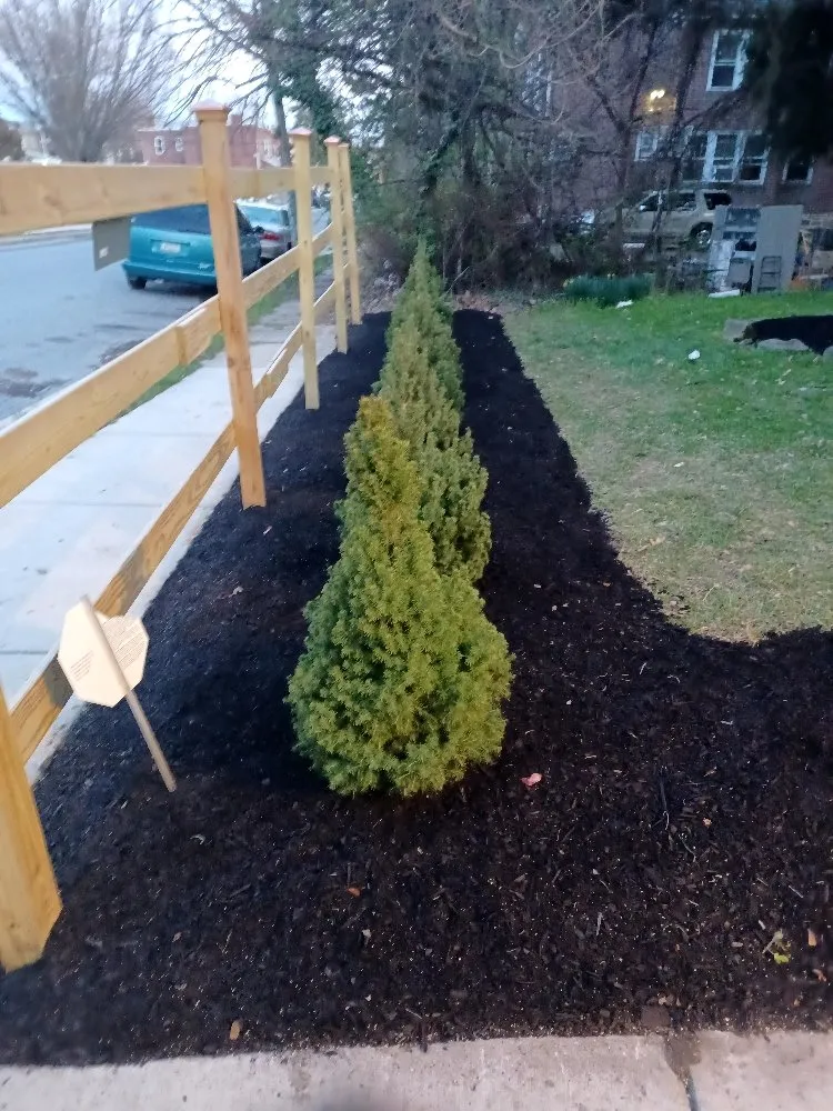 Trusted landscape design in Chester, PA - CK Lawn Maintenance & Landscaping