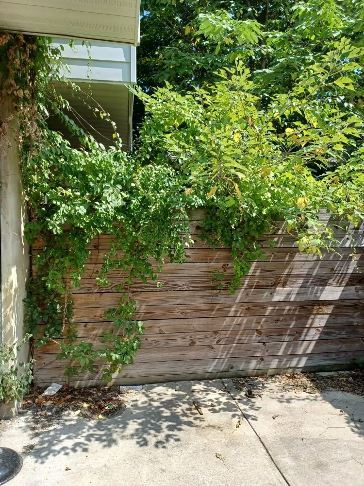 Professional landscape installation for homes across Chester, PA - CK Lawn Maintenance & Landscaping