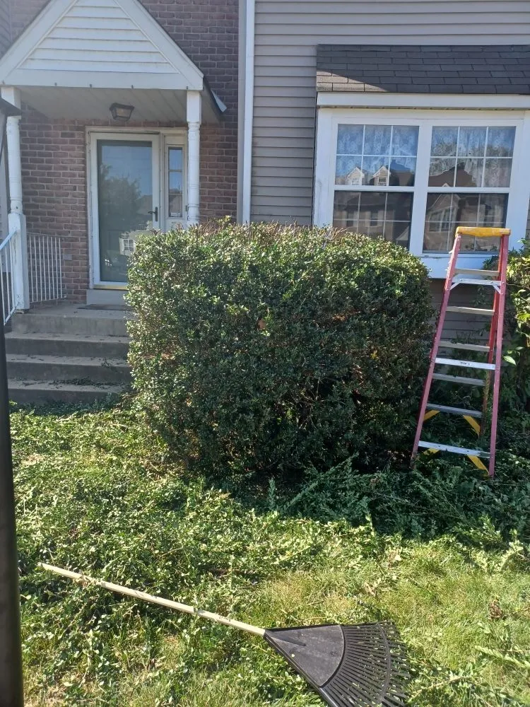 Top-rated landscaping services for beautiful yards across Chester, PA - CK Lawn Maintenance & Landscaping