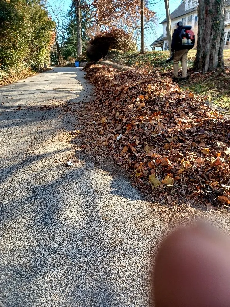 Local residential landscaping near you in Chester, PA by CK Lawn Maintenance & Landscaping