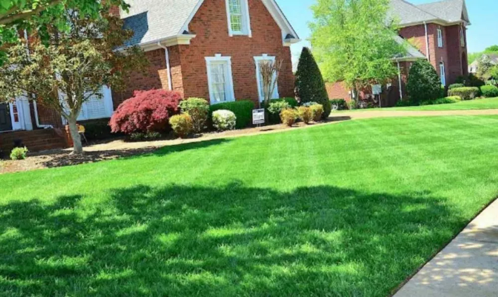 Top-rated yard cleanup service for beautiful yards in Dayton, OH by CK LAWNCARE SERVICE & LANDSCAPING