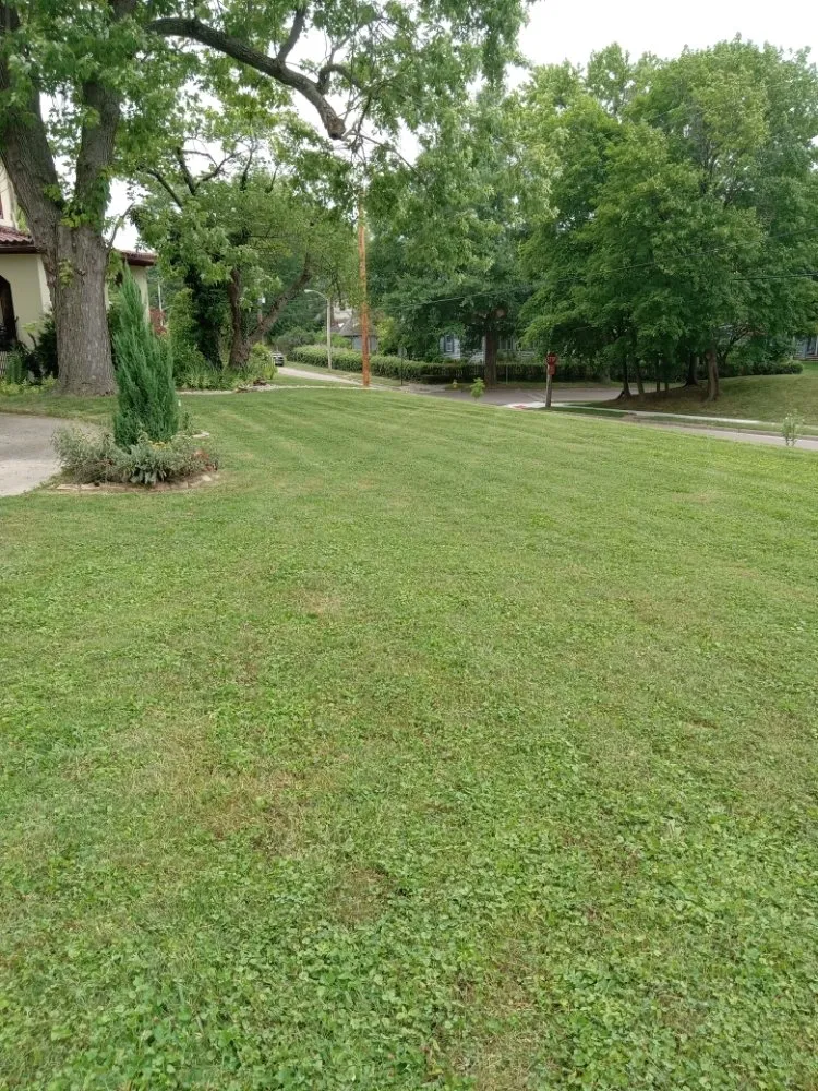 Reliable landscape design for year-round maintenance in Dayton, OH by CK LAWNCARE SERVICE & LANDSCAPING