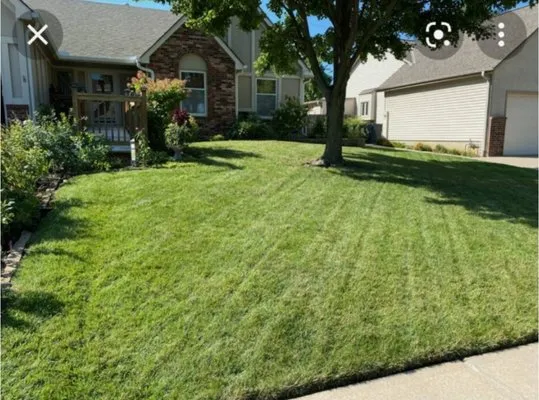 CK LAWNCARE SERVICE & LANDSCAPING Logo