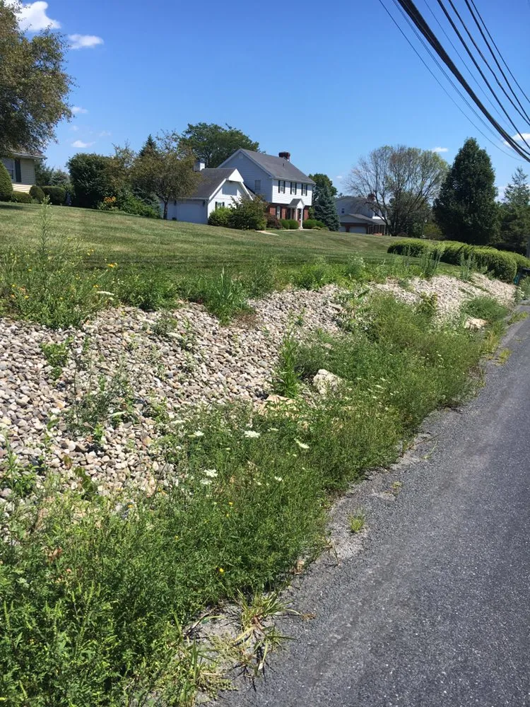 Reliable lawn care service in Williams Township, PA by CK Property Maintenance and Restoration