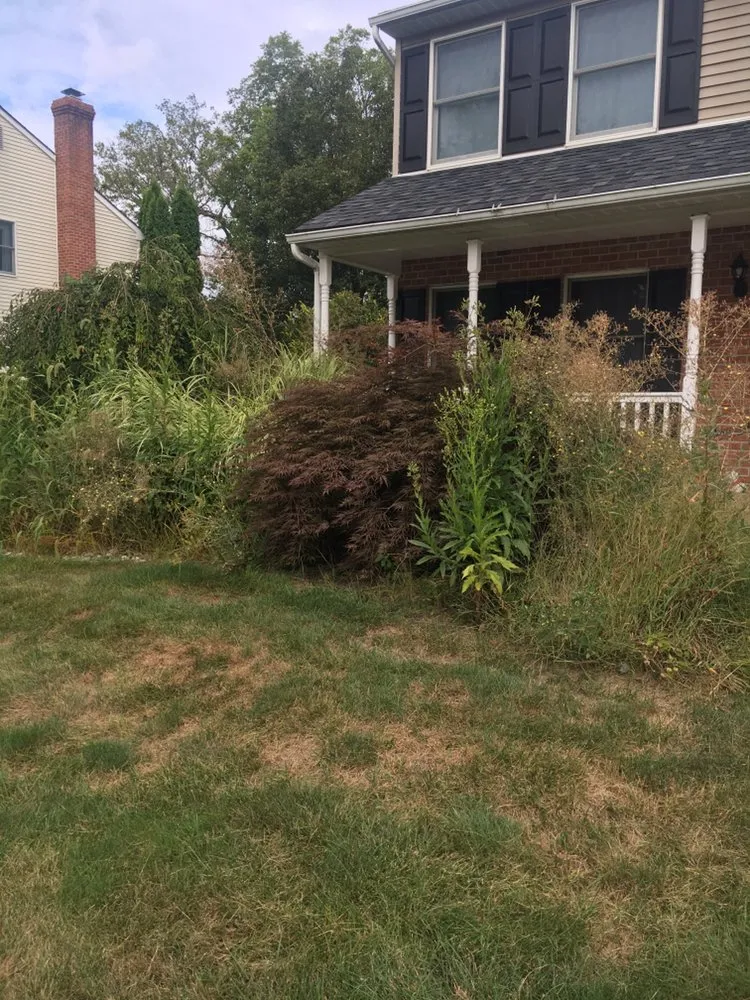 Affordable landscape installation in Williams Township, PA - CK Property Maintenance and Restoration
